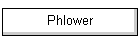 Phlower
